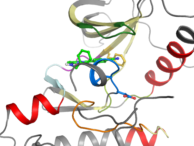 The orthosteric binding pocket