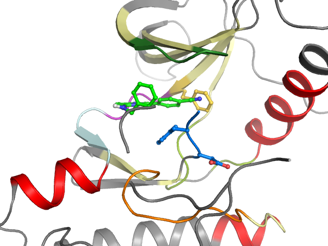 The orthosteric binding pocket