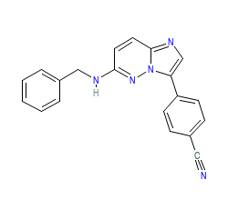 2D structure of the orthosteric ligand