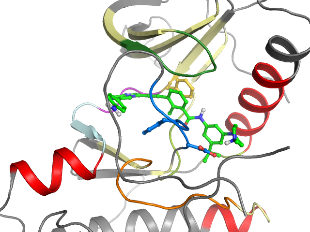 The orthosteric binding pocket