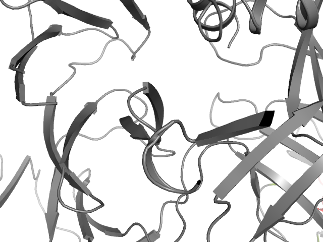 The orthosteric binding pocket