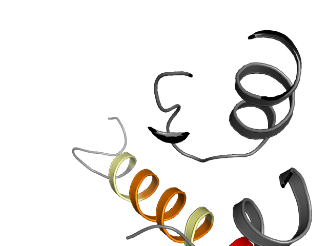 The orthosteric binding pocket