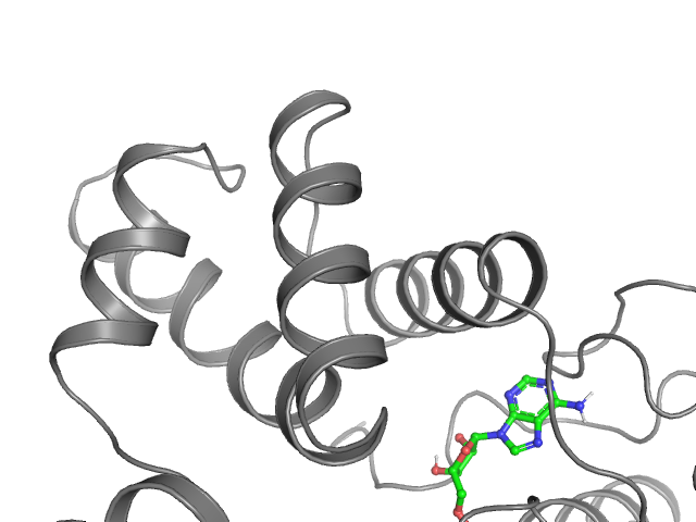 The orthosteric binding pocket