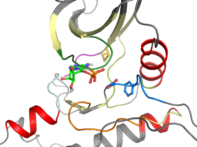 The orthosteric binding pocket