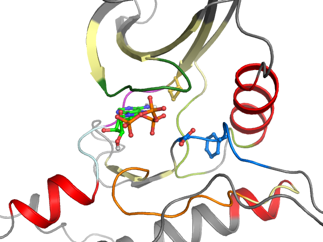 The orthosteric binding pocket