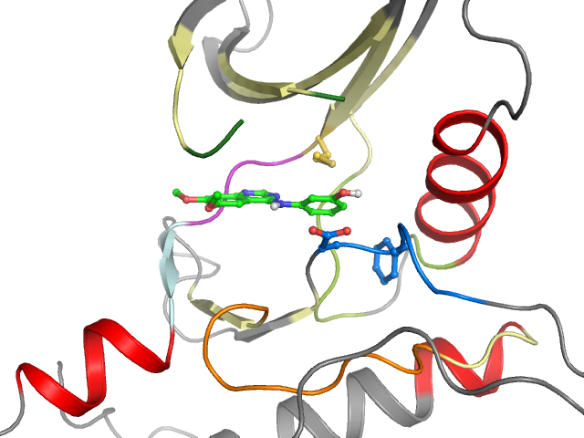 The orthosteric binding pocket