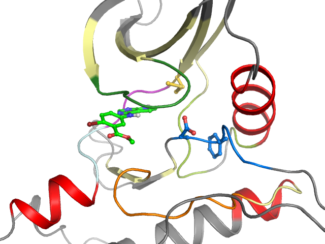 The orthosteric binding pocket