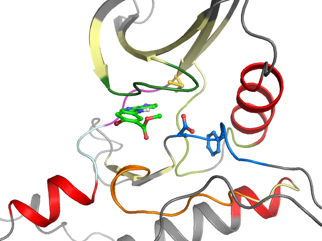 The orthosteric binding pocket