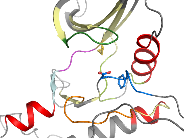 The orthosteric binding pocket