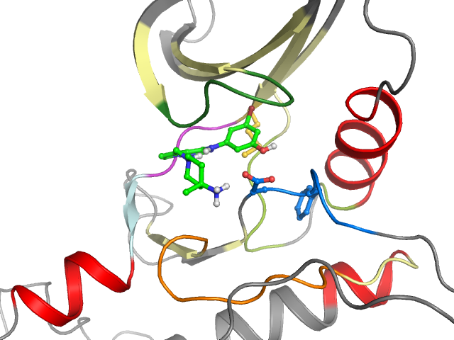 The orthosteric binding pocket