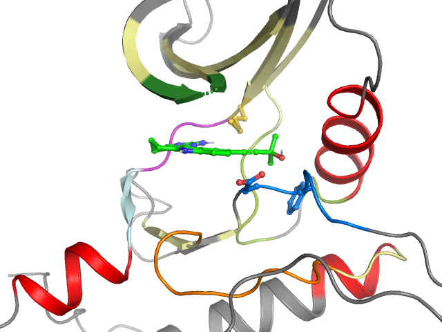 The orthosteric binding pocket