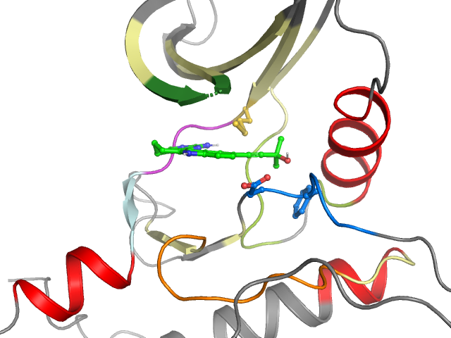 The orthosteric binding pocket