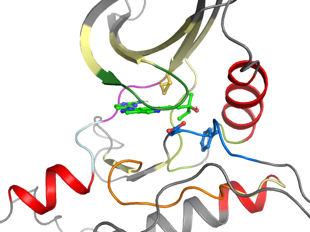 The orthosteric binding pocket