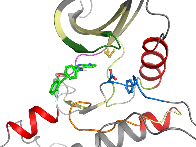 The orthosteric binding pocket