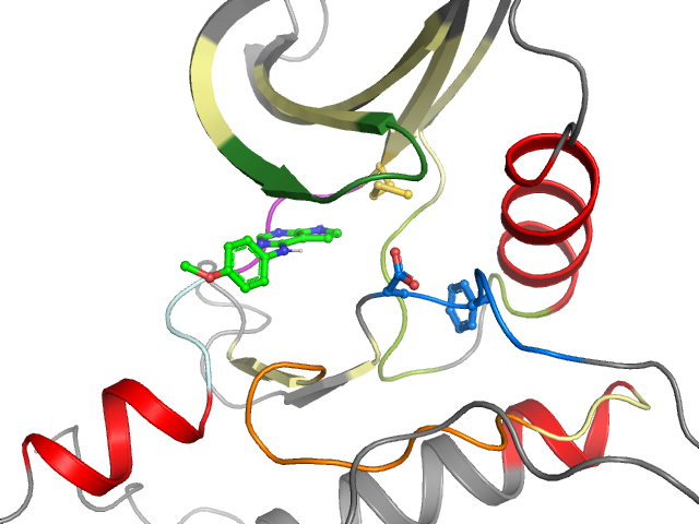 The orthosteric binding pocket