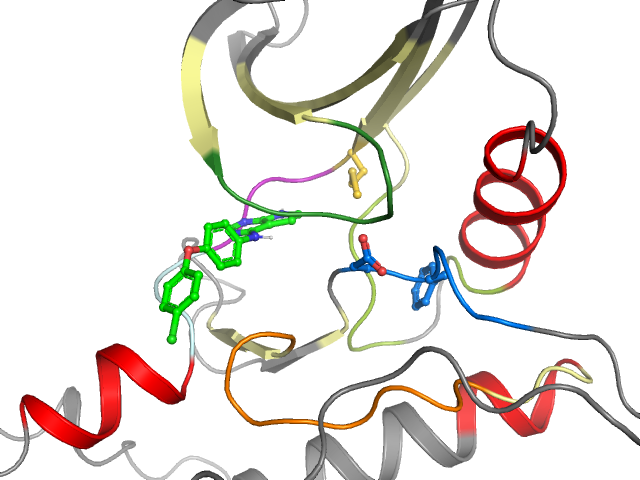 The orthosteric binding pocket
