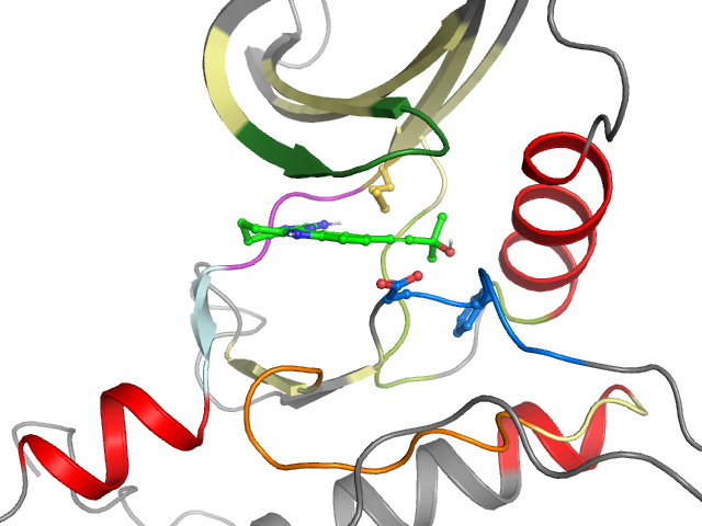 The orthosteric binding pocket