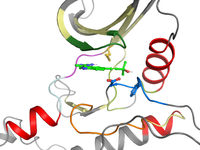 The orthosteric binding pocket