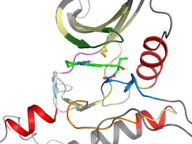 The orthosteric binding pocket