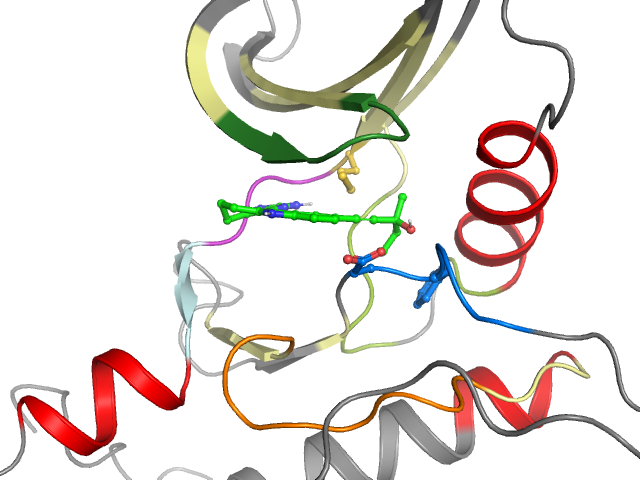 The orthosteric binding pocket