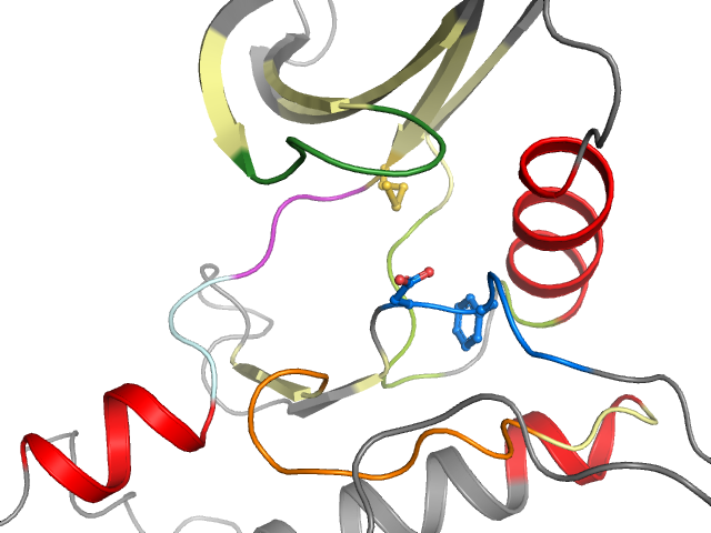 The orthosteric binding pocket