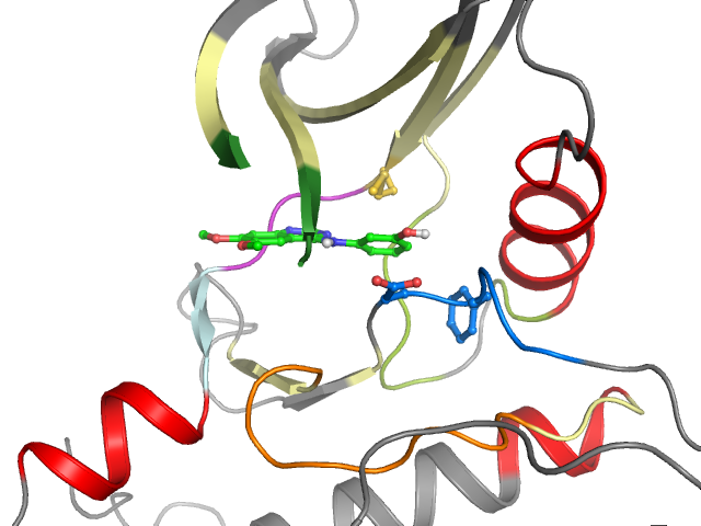 The orthosteric binding pocket