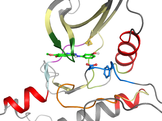 The orthosteric binding pocket
