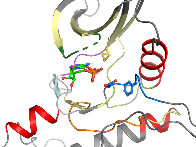 The orthosteric binding pocket