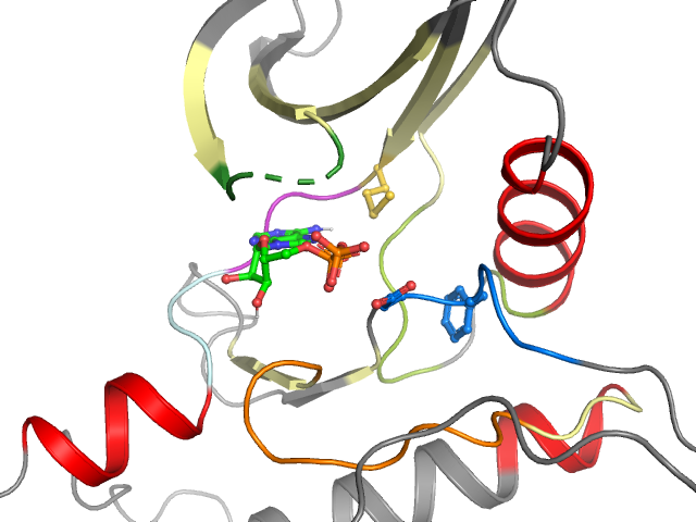 The orthosteric binding pocket