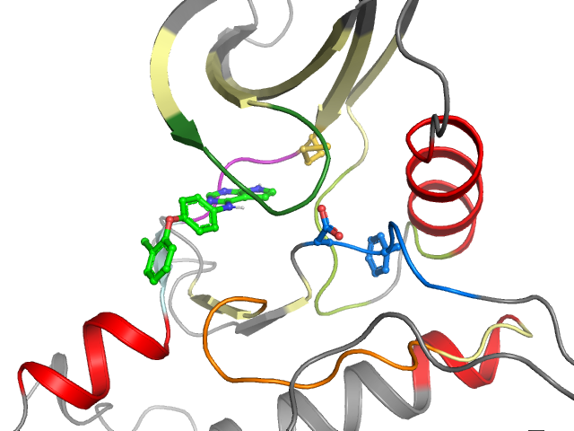 The orthosteric binding pocket