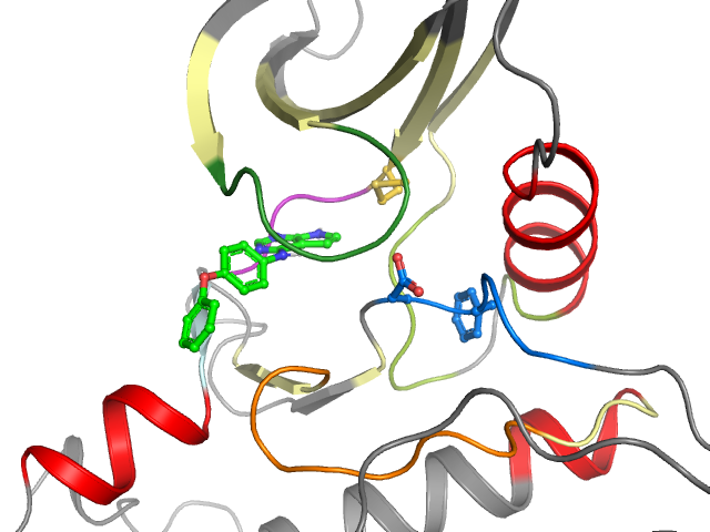 The orthosteric binding pocket