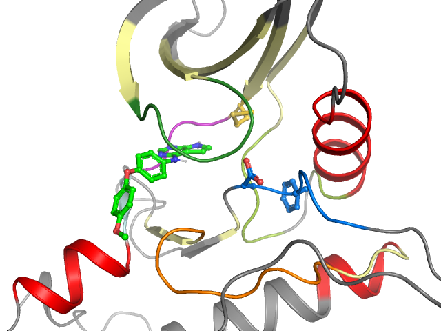 The orthosteric binding pocket