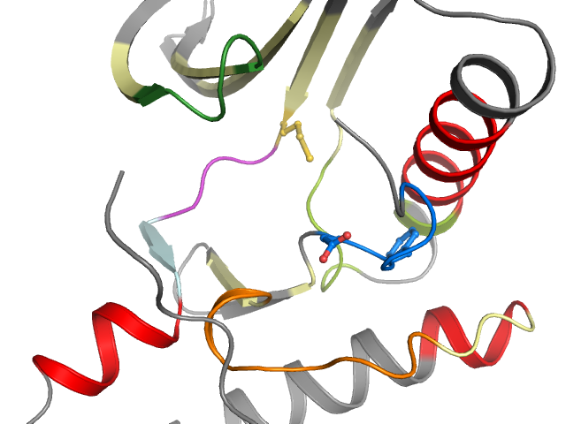 The orthosteric binding pocket