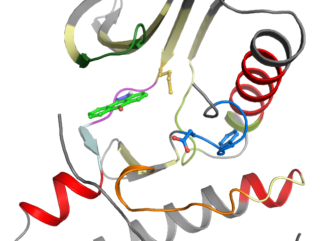 The orthosteric binding pocket
