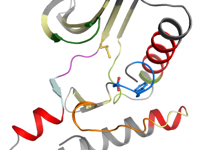 The orthosteric binding pocket