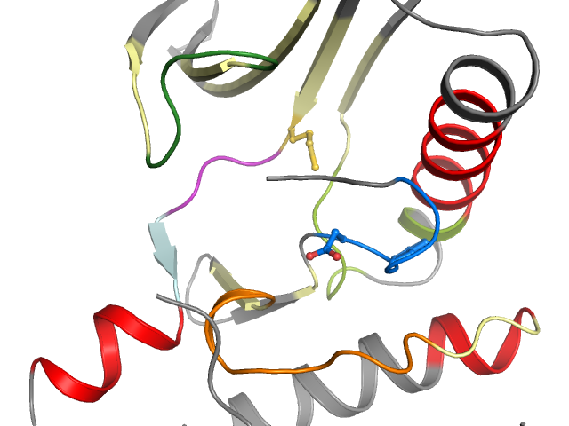 The orthosteric binding pocket