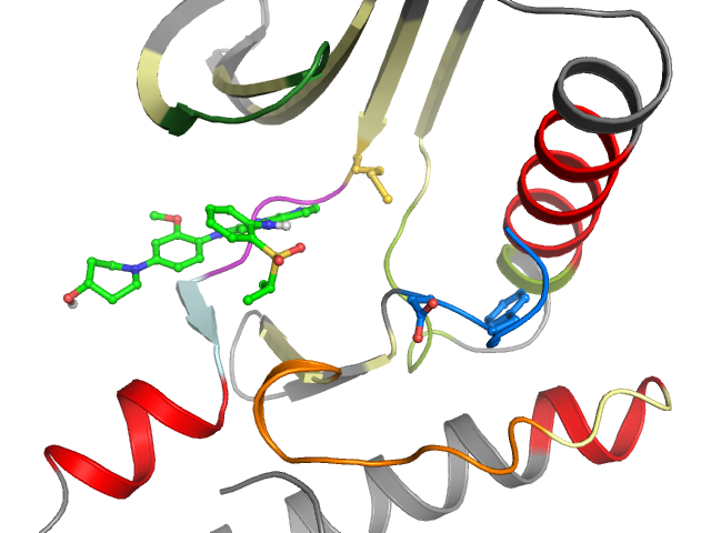 The orthosteric binding pocket