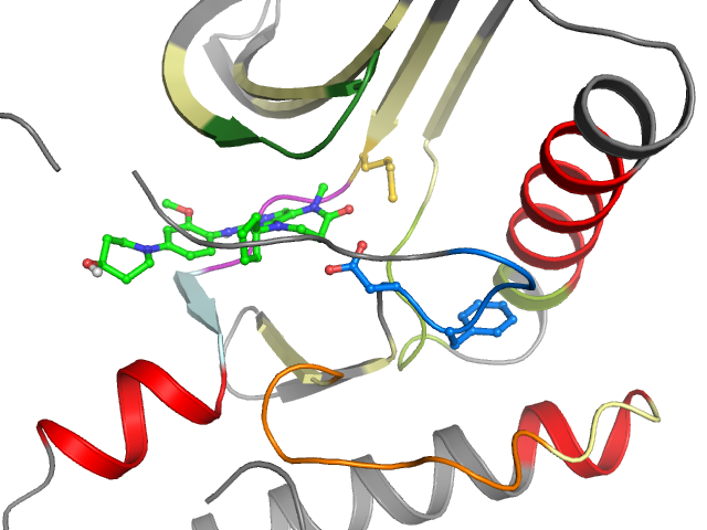 The orthosteric binding pocket