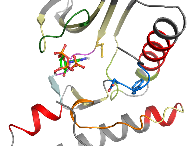 The orthosteric binding pocket