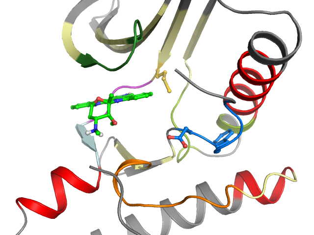 The orthosteric binding pocket