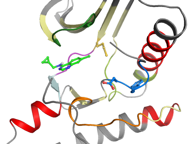 The orthosteric binding pocket