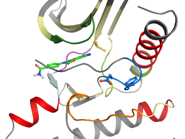The orthosteric binding pocket