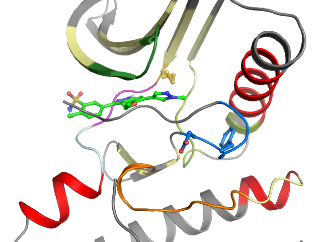 The orthosteric binding pocket