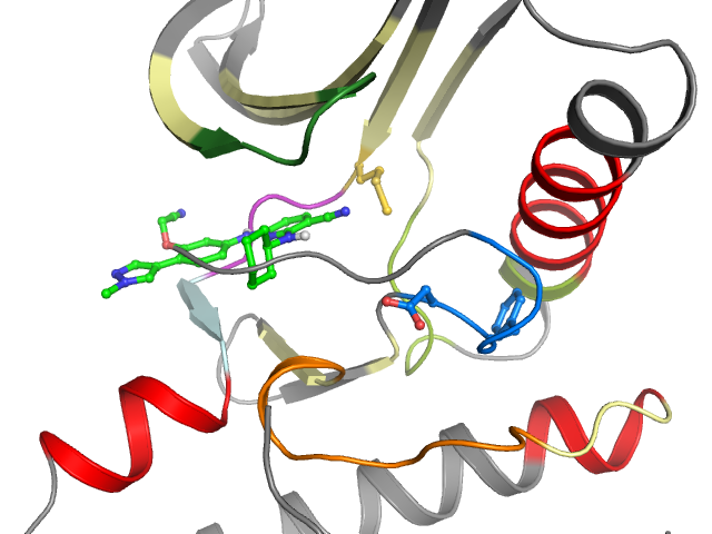 The orthosteric binding pocket