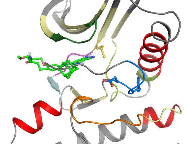 The orthosteric binding pocket