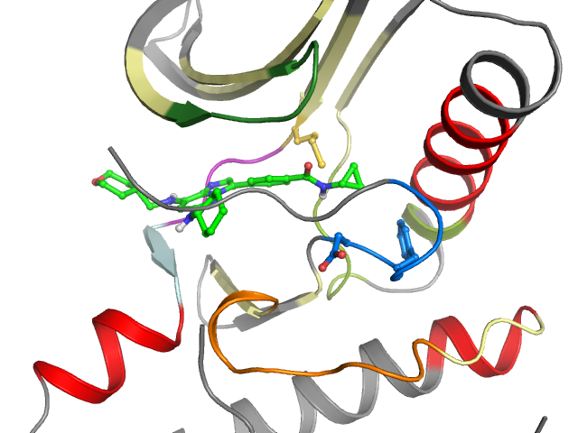 The orthosteric binding pocket