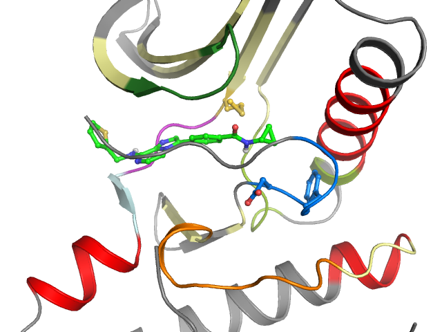The orthosteric binding pocket