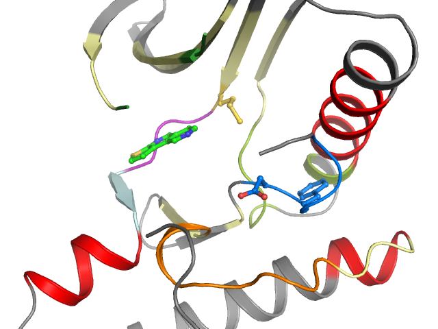 The orthosteric binding pocket
