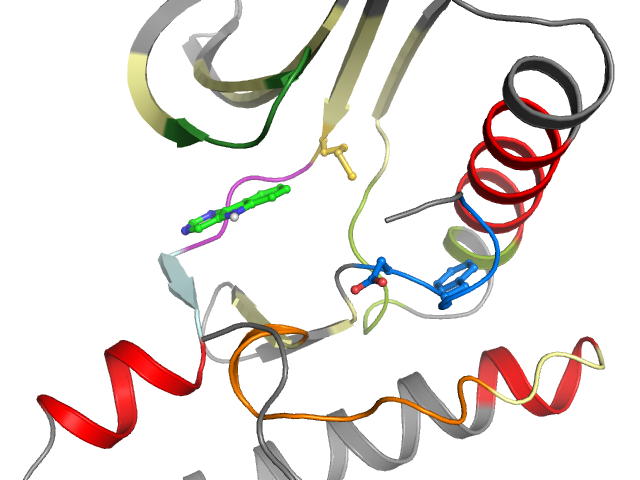 The orthosteric binding pocket