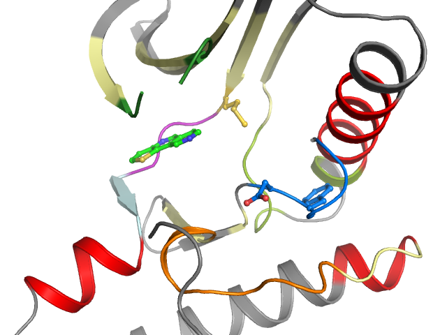 The orthosteric binding pocket